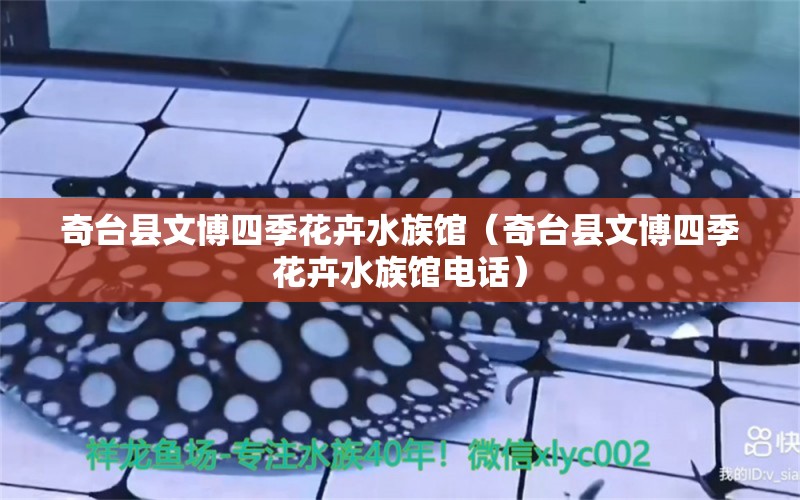 奇台县文博四季花卉水族馆（奇台县文博四季花卉水族馆电话） 全国水族馆企业名录