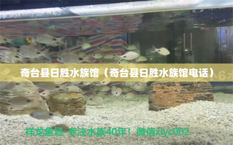 奇台县日胜水族馆（奇台县日胜水族馆电话）