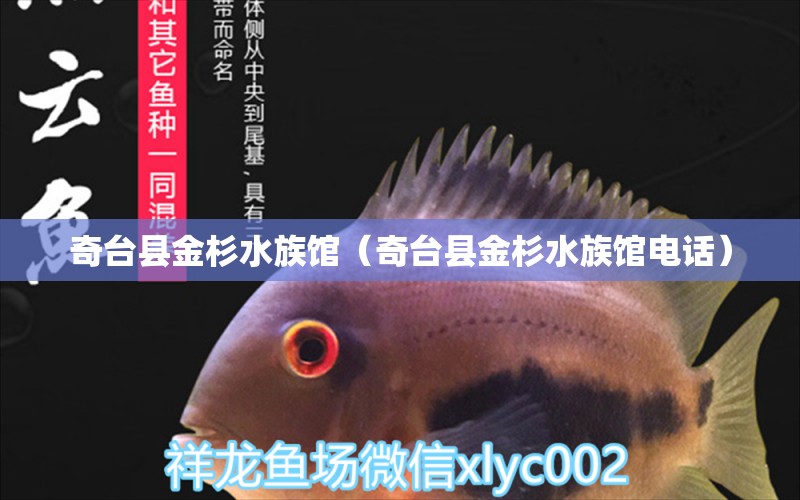 奇台县金杉水族馆（奇台县金杉水族馆电话） 全国水族馆企业名录