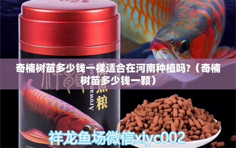 奇楠树苗多少钱一棵适合在河南种植吗?（奇楠树苗多少钱一颗）