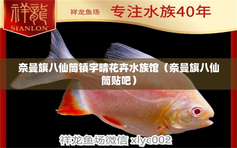 奈曼旗八仙筒镇宇晴花卉水族馆（奈曼旗八仙筒贴吧） 全国水族馆企业名录