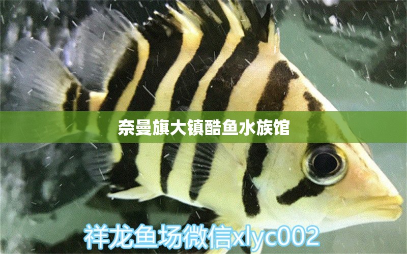 奈曼旗大镇酷鱼水族馆