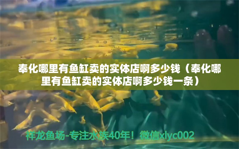 奉化哪里有鱼缸卖的实体店啊多少钱（奉化哪里有鱼缸卖的实体店啊多少钱一条）