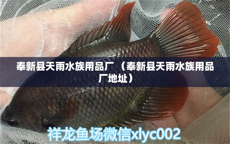 奉新县天雨水族用品厂 （奉新县天雨水族用品厂地址）