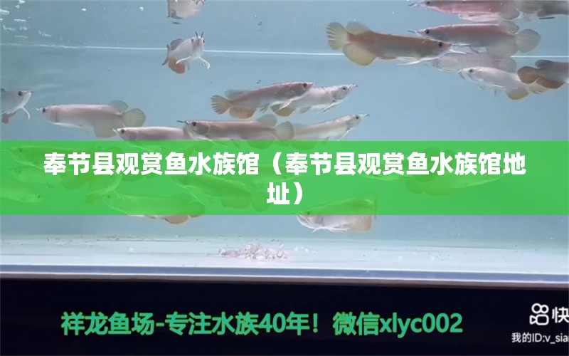 奉节县观赏鱼水族馆（奉节县观赏鱼水族馆地址） 全国水族馆企业名录