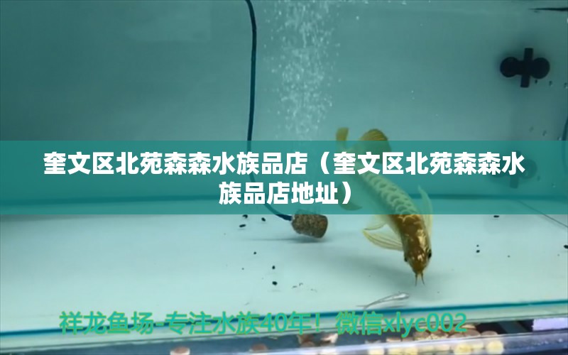 奎文区北苑森森水族品店（奎文区北苑森森水族品店地址） 全国水族馆企业名录