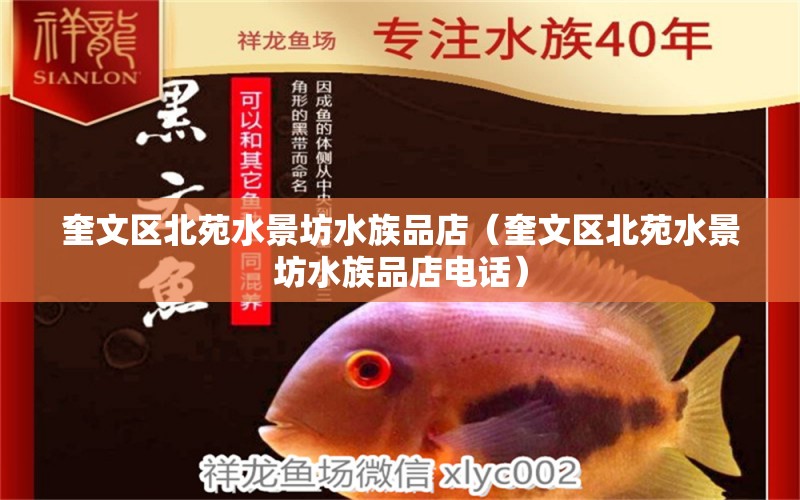 奎文区北苑水景坊水族品店（奎文区北苑水景坊水族品店电话）