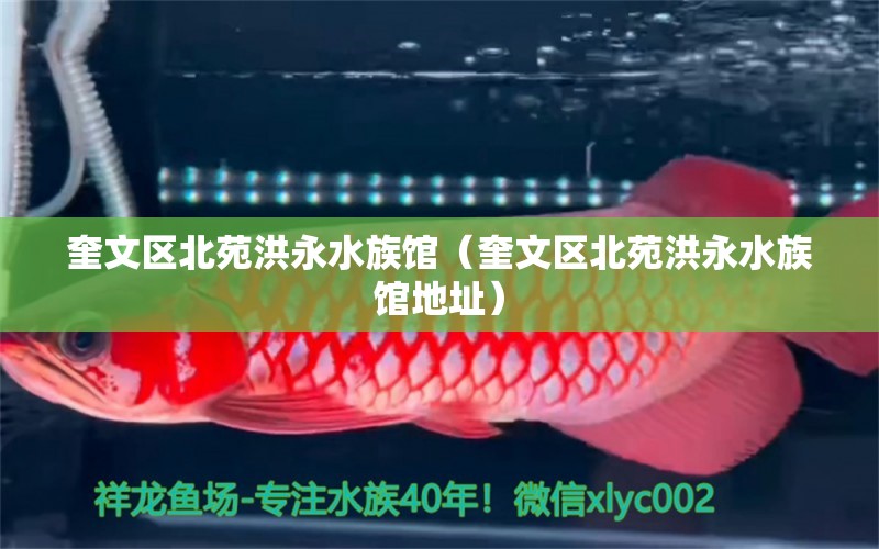 奎文区北苑洪永水族馆（奎文区北苑洪永水族馆地址）