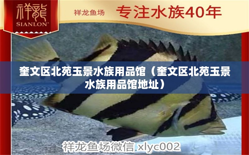 奎文区北苑玉景水族用品馆（奎文区北苑玉景水族用品馆地址）