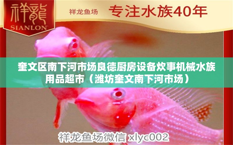 奎文区南下河市场良德厨房设备炊事机械水族用品超市（潍坊奎文南下河市场） 水族用品