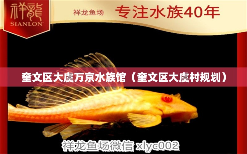 奎文区大虞万京水族馆（奎文区大虞村规划）