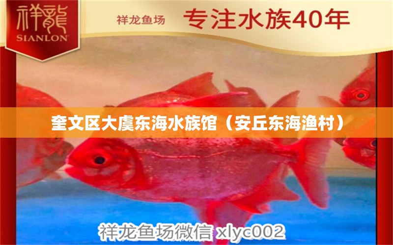 奎文区大虞东海水族馆（安丘东海渔村）