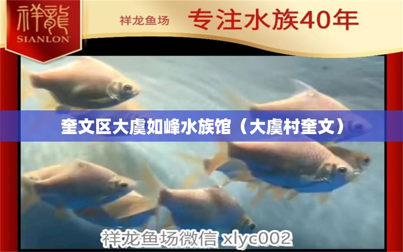 奎文区大虞如峰水族馆（大虞村奎文）