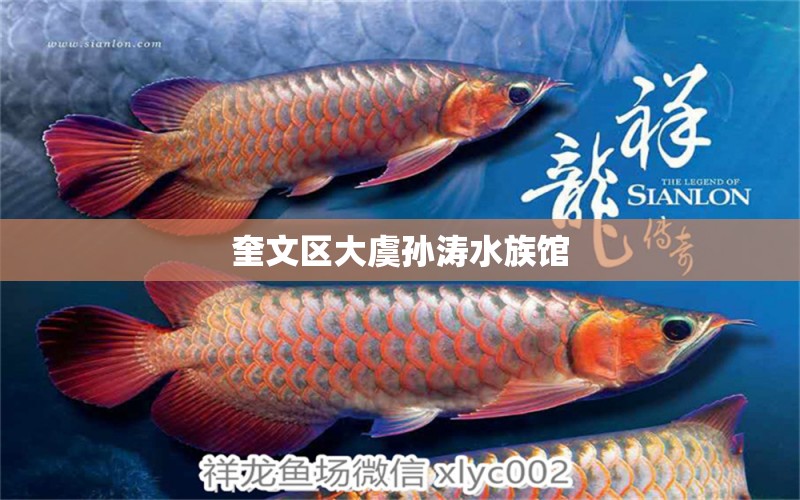 奎文区大虞孙涛水族馆