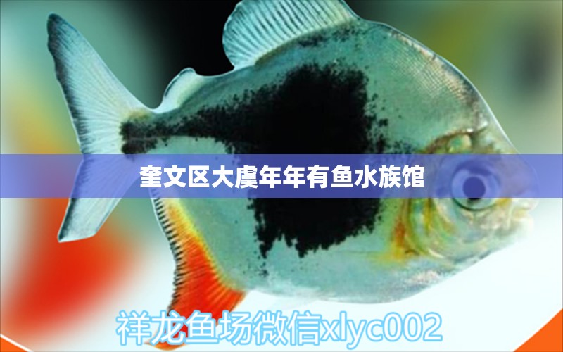 奎文区大虞年年有鱼水族馆 全国水族馆企业名录