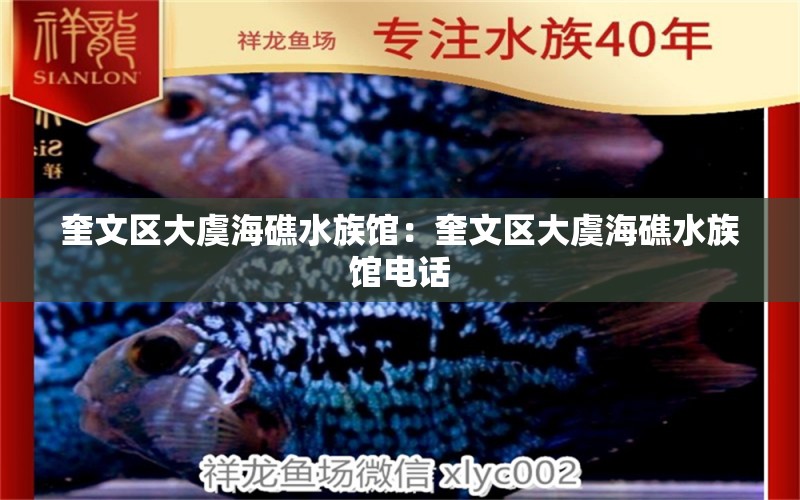 奎文区大虞海礁水族馆：奎文区大虞海礁水族馆电话 全国水族馆企业名录