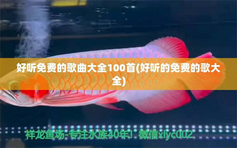 好听免费的歌曲大全100首(好听的免费的歌大全) 观赏鱼批发