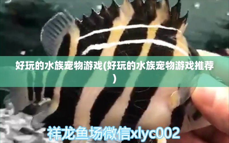 好玩的水族宠物游戏(好玩的水族宠物游戏推荐)