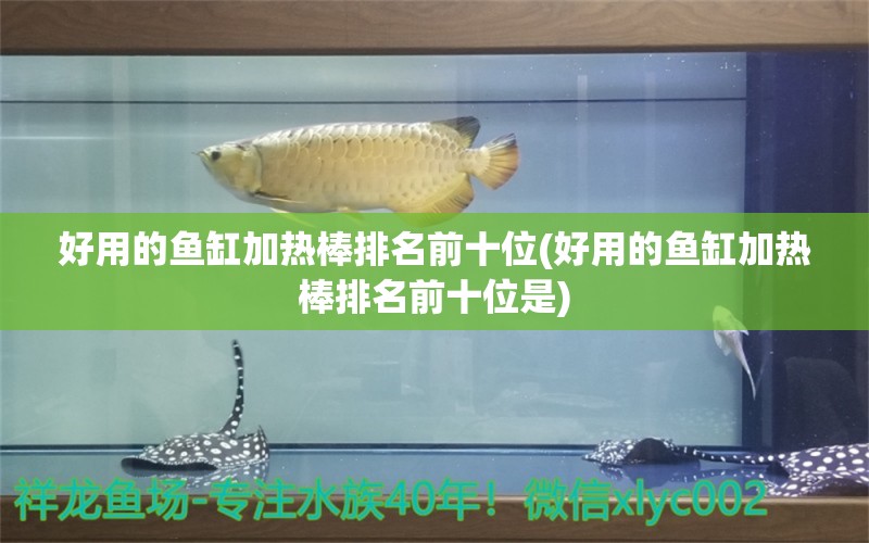 好用的鱼缸加热棒排名前十位(好用的鱼缸加热棒排名前十位是)