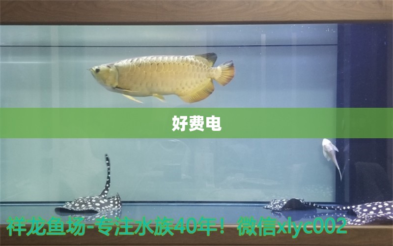 好费电 祥龙水族护理水