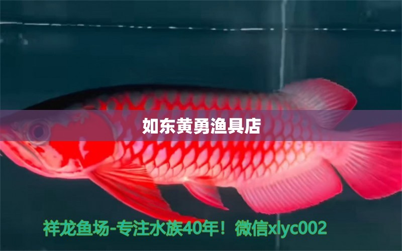 如东黄勇渔具店 全国水族馆企业名录