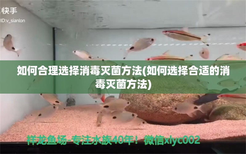 如何合理选择消毒灭菌方法(如何选择合适的消毒灭菌方法)