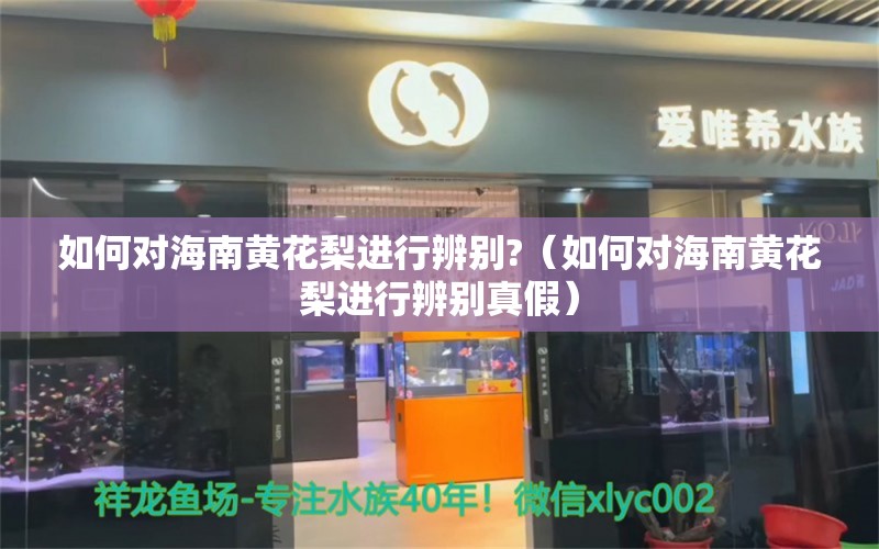 如何对海南黄花梨进行辨别?（如何对海南黄花梨进行辨别真假）