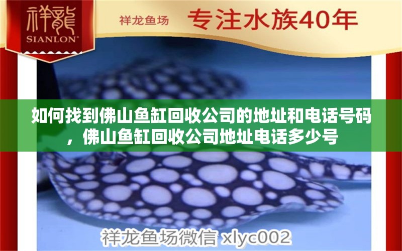 如何找到佛山鱼缸回收公司的地址和电话号码，佛山鱼缸回收公司地址电话多少号