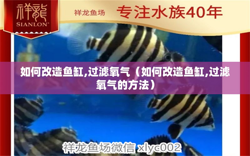 如何改造鱼缸,过滤氧气（如何改造鱼缸,过滤氧气的方法）