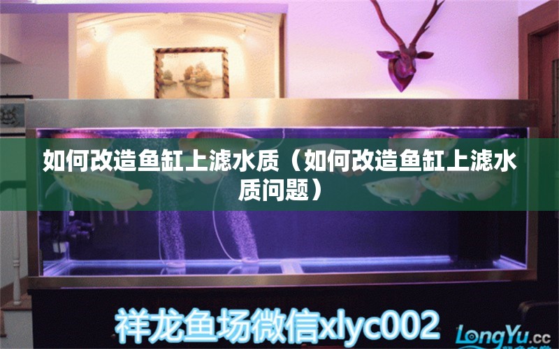 如何改造鱼缸上滤水质（如何改造鱼缸上滤水质问题） 祥龙水族医院