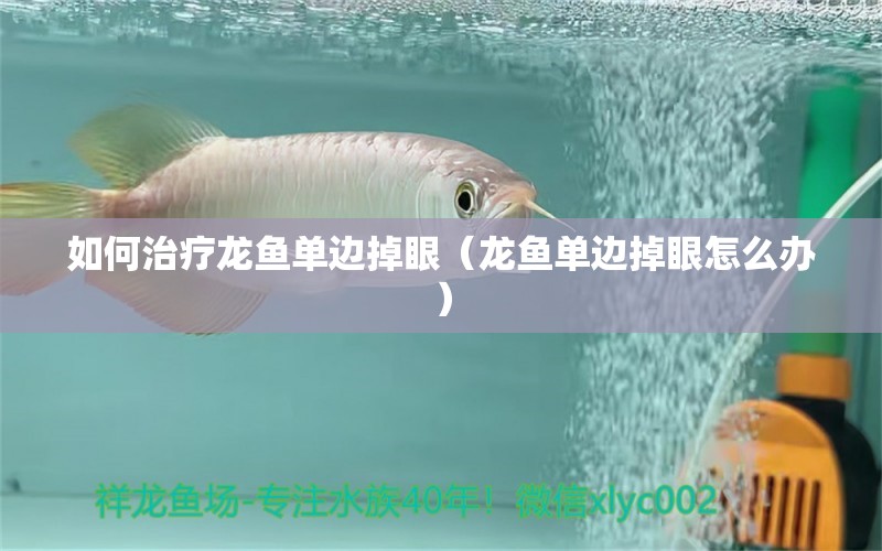 如何治疗龙鱼单边掉眼（龙鱼单边掉眼怎么办）