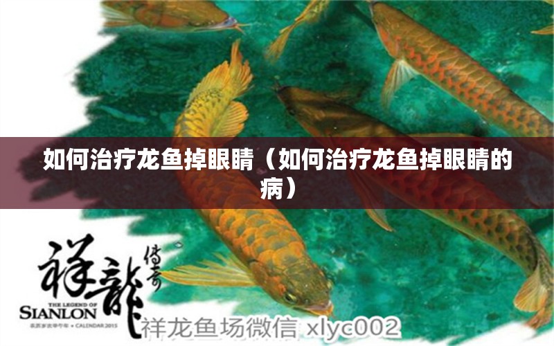 如何治疗龙鱼掉眼睛（如何治疗龙鱼掉眼睛的病） 广州龙鱼批发市场