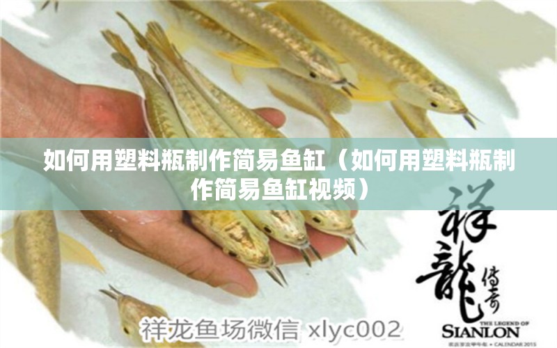 如何用塑料瓶制作简易鱼缸（如何用塑料瓶制作简易鱼缸视频）