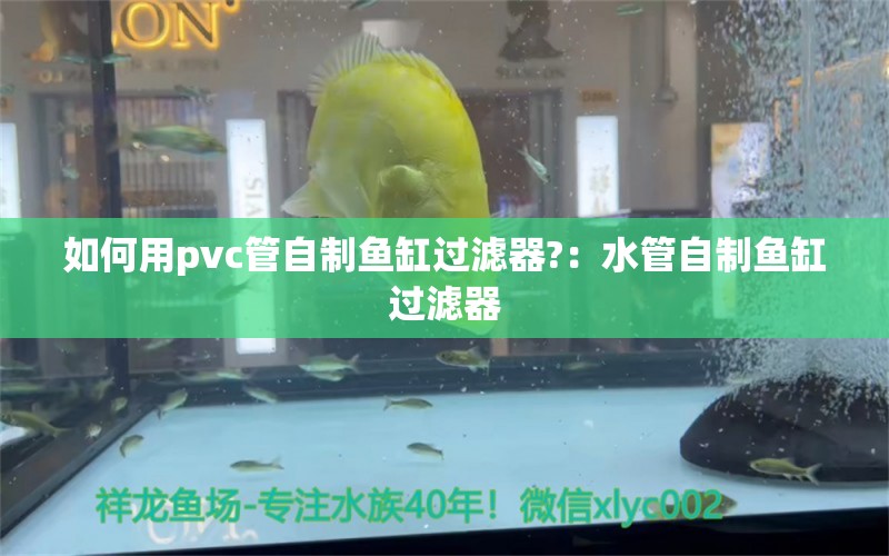 如何用pvc管自制鱼缸过滤器?：水管自制鱼缸过滤器