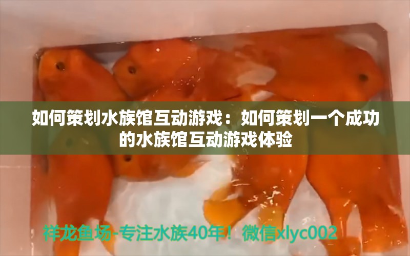 如何策划水族馆互动游戏：如何策划一个成功的水族馆互动游戏体验 水族馆百科（水族馆加盟） 第1张