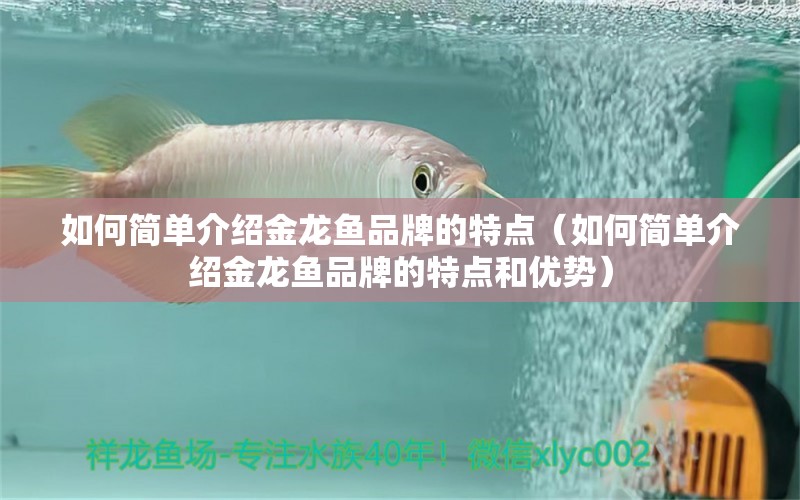 如何简单介绍金龙鱼品牌的特点（如何简单介绍金龙鱼品牌的特点和优势） 其他品牌鱼缸