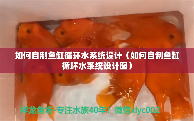 如何自制鱼缸循环水系统设计（如何自制鱼缸循环水系统设计图）