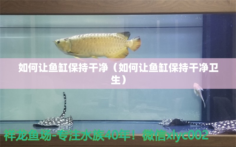 如何让鱼缸保持干净（如何让鱼缸保持干净卫生）