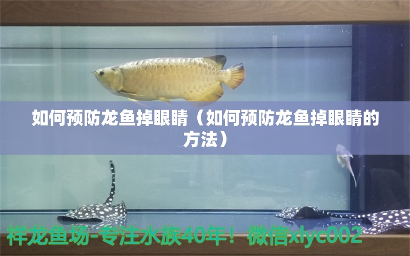 如何预防龙鱼掉眼睛（如何预防龙鱼掉眼睛的方法）