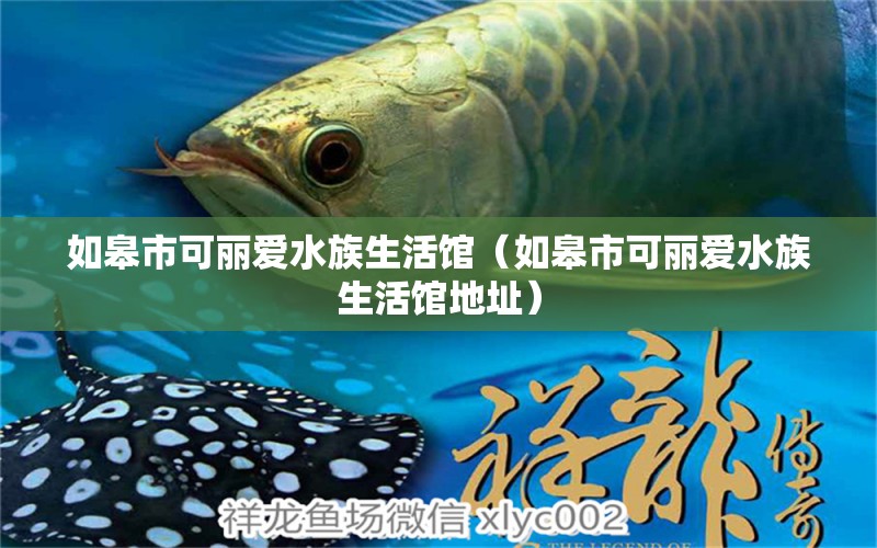 如皋市可丽爱水族生活馆（如皋市可丽爱水族生活馆地址）