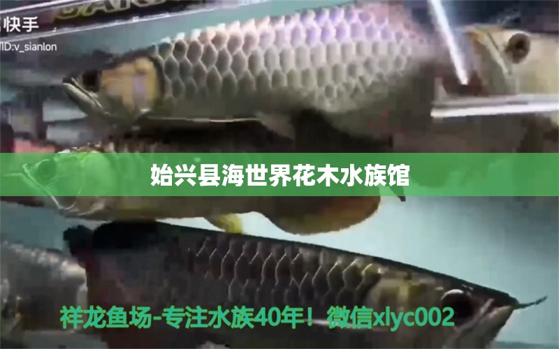 始兴县海世界花木水族馆 全国水族馆企业名录