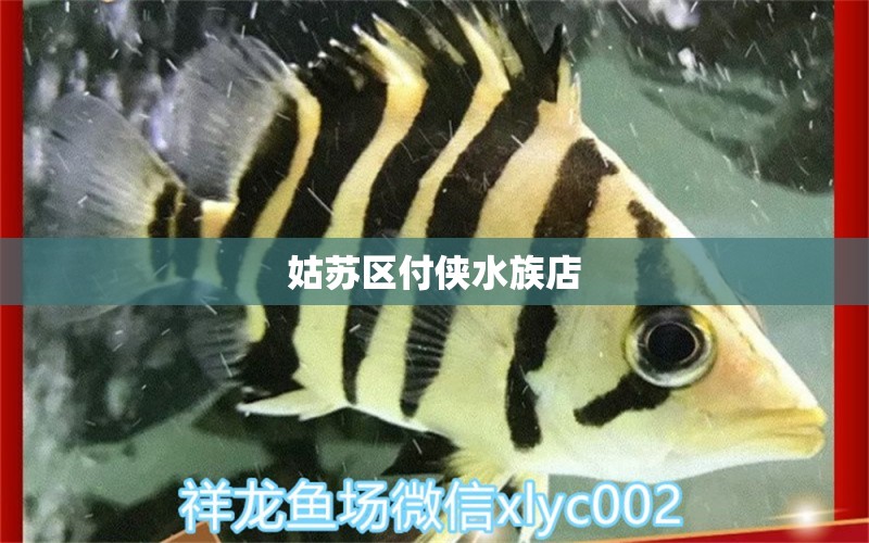 姑苏区付侠水族店 全国水族馆企业名录