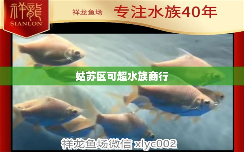 姑苏区可超水族商行