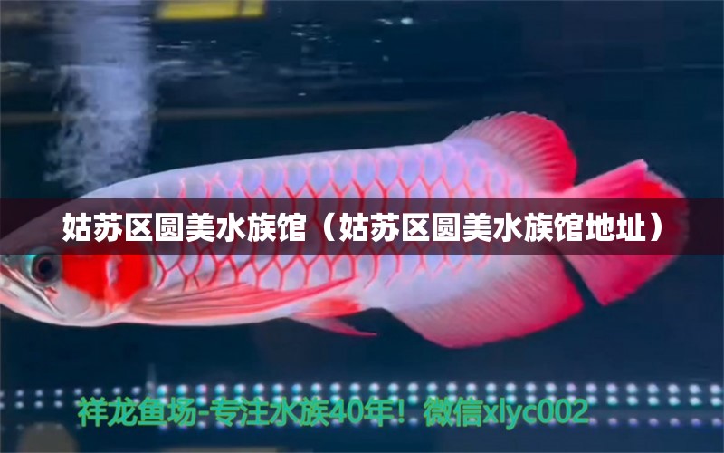 姑苏区圆美水族馆（姑苏区圆美水族馆地址） 全国水族馆企业名录