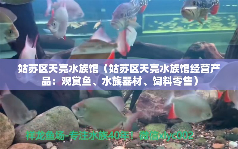 姑苏区天亮水族馆（姑苏区天亮水族馆经营产品：观赏鱼、水族器材、饲料零售） 全国观赏鱼市场 第2张