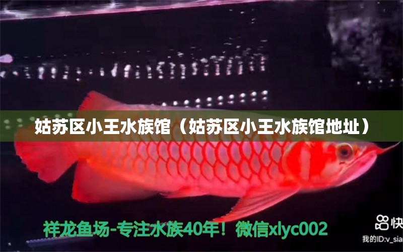 姑苏区小王水族馆（姑苏区小王水族馆地址） 全国水族馆企业名录