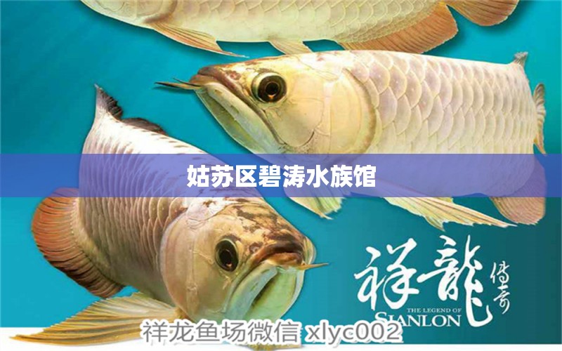 姑苏区碧涛水族馆