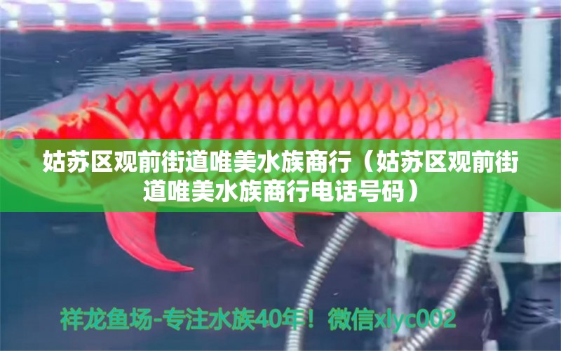 姑苏区观前街道唯美水族商行（姑苏区观前街道唯美水族商行电话号码）