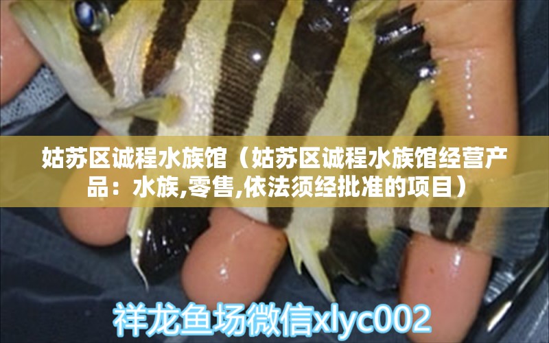 姑苏区诚程水族馆（姑苏区诚程水族馆经营产品：水族,零售,依法须经批准的项目） 全国观赏鱼市场 第1张