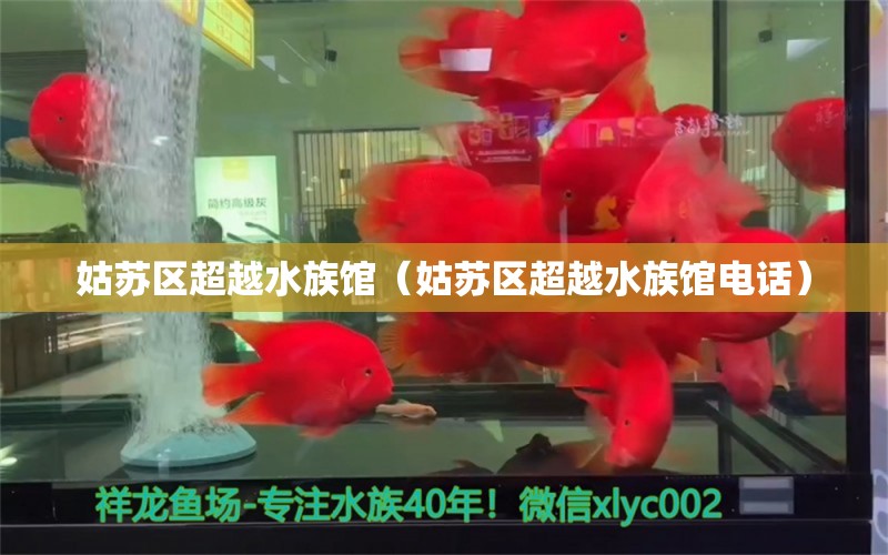 姑苏区超越水族馆（姑苏区超越水族馆电话） 全国水族馆企业名录